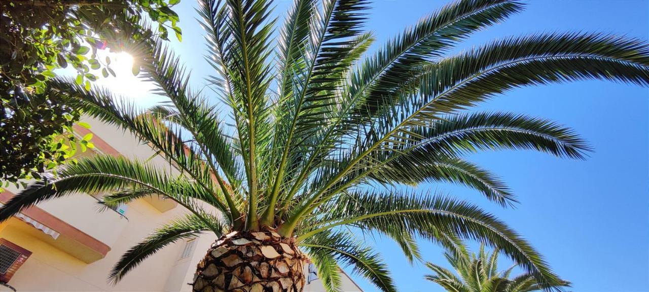 Apartamento La Marina By Denia Costa Dış mekan fotoğraf